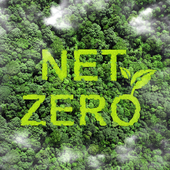 Net zero and carbon neutral concept.Net Zero text on green grass with forest for net zero greenhouse gas emissions target Climate neutral long term strategy on a green background. Carbon Neutrality.