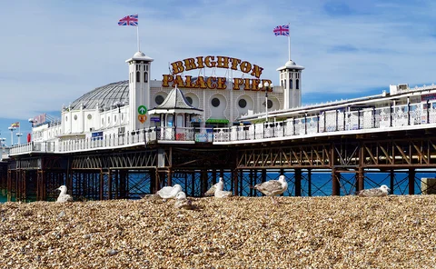 Brighton - beach, seagulls and Palace Pier