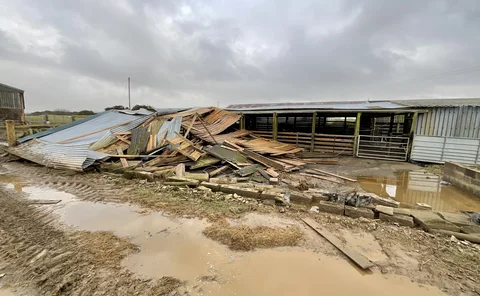 storm eowyn damage in NI