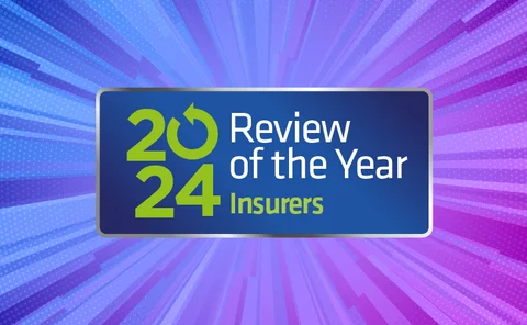 Review of the year 2024 Insurers