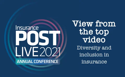 view from the top 15 diversity